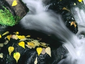 thumbs beautiful rivers in the world pictures 1600 x 1200 wallpapers 14 jpg rush mammoth mountain california De mooiste rivieren van de wereld