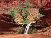 thumbs beautiful rivers in the world pictures 1600 x 1200 wallpapers 26 jpg coyote gulch escalante river canyons utah De mooiste rivieren van de wereld