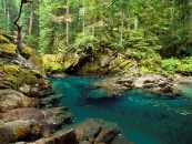 thumbs beautiful rivers in the world pictures 1600 x 1200 wallpapers 3 jpg ohanapecosh river mt  rainier national park washington De mooiste rivieren van de wereld