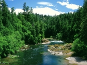thumbs beautiful rivers in the world pictures 1600 x 1200 wallpapers 31 jpg umpqua river douglas county oregon De mooiste rivieren van de wereld