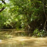 amazone_regwoud_reizen_vakantie amazone_regwoud_reizen_vakantie